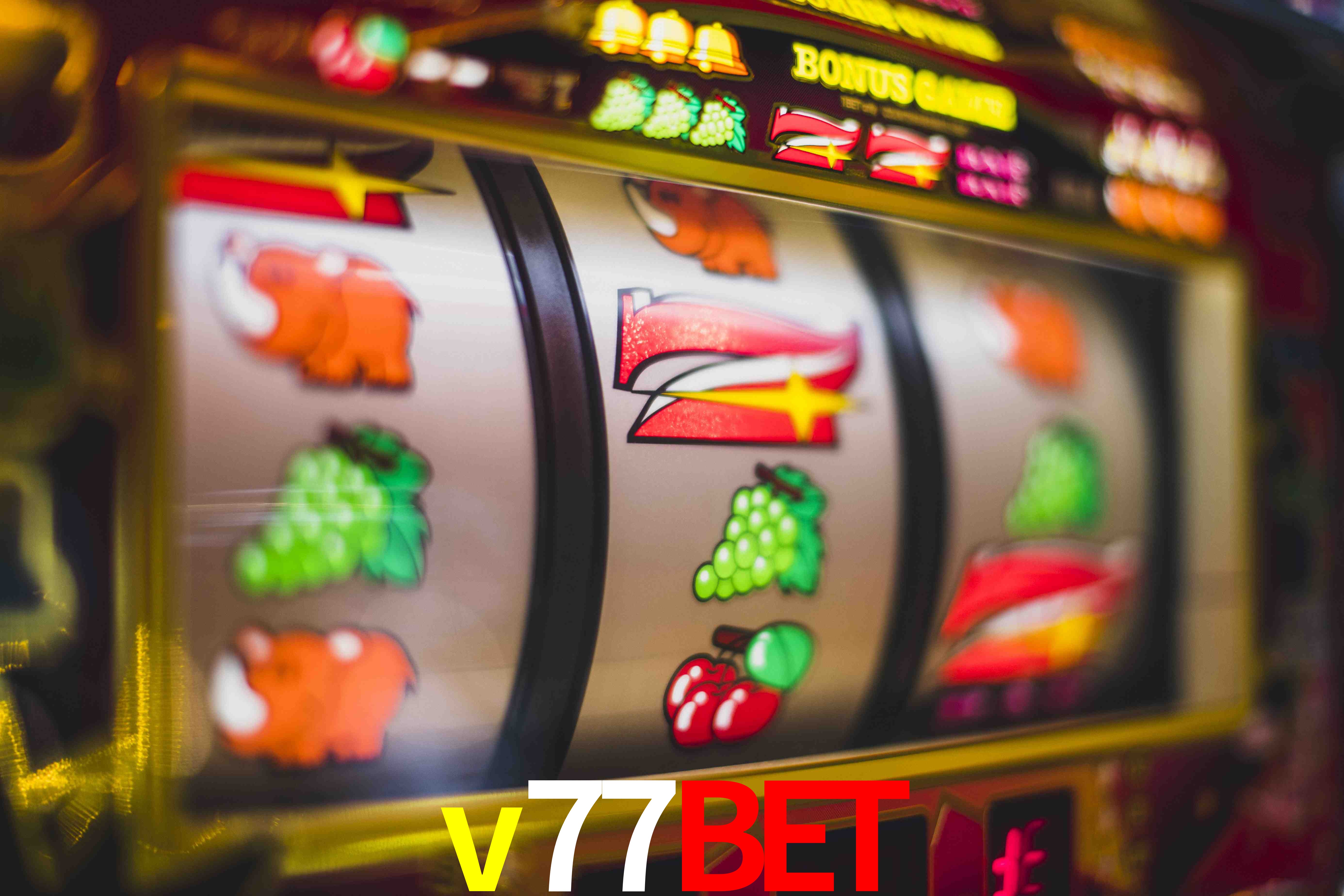 Sports Statistics v77bet